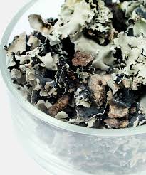 Stone Flower / Kalpasi